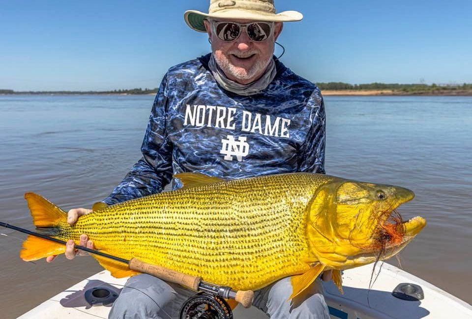La Zona Dorado Fishing FishTravel (3)
